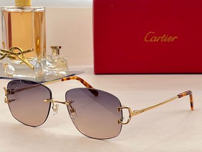 Cartier Sunglasses 767